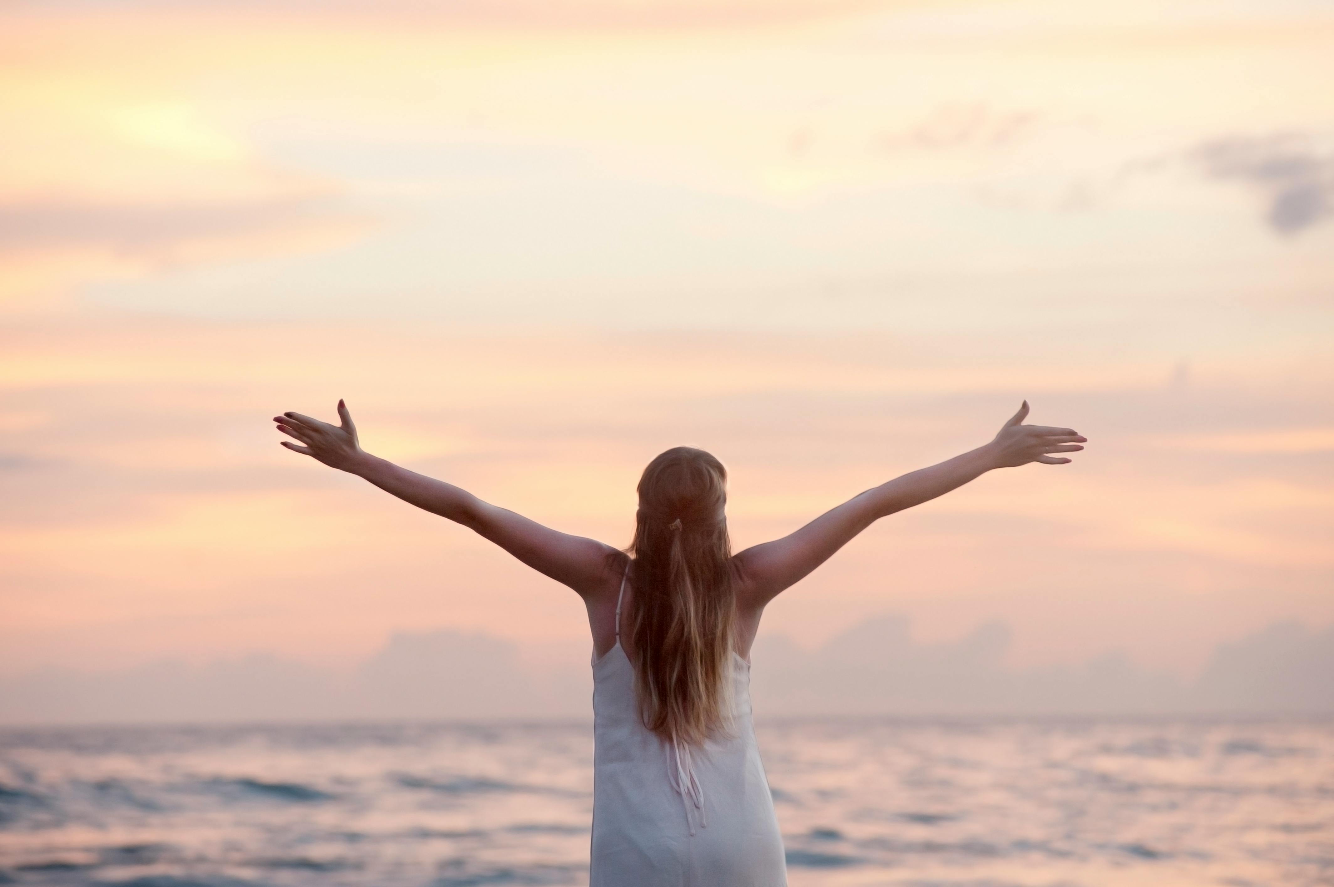 The Freedom Tool by Emily Guderian